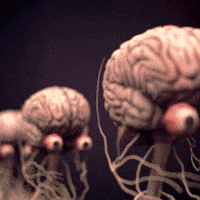 silly image of gliding brains